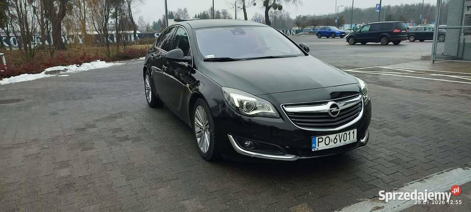 Opel Insignia 20 CDTI Executive SS diesel wielkopolskie Śrem