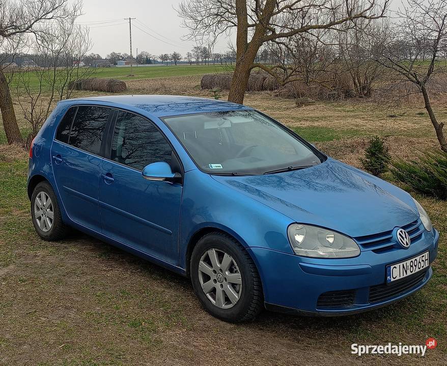 Ładny Golfik V Rok produkcji 2004 kujawsko-pomorskie sprzedam