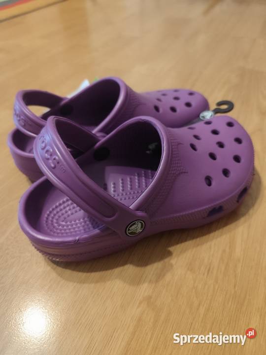 Crocs dolnośląskie Wrocław