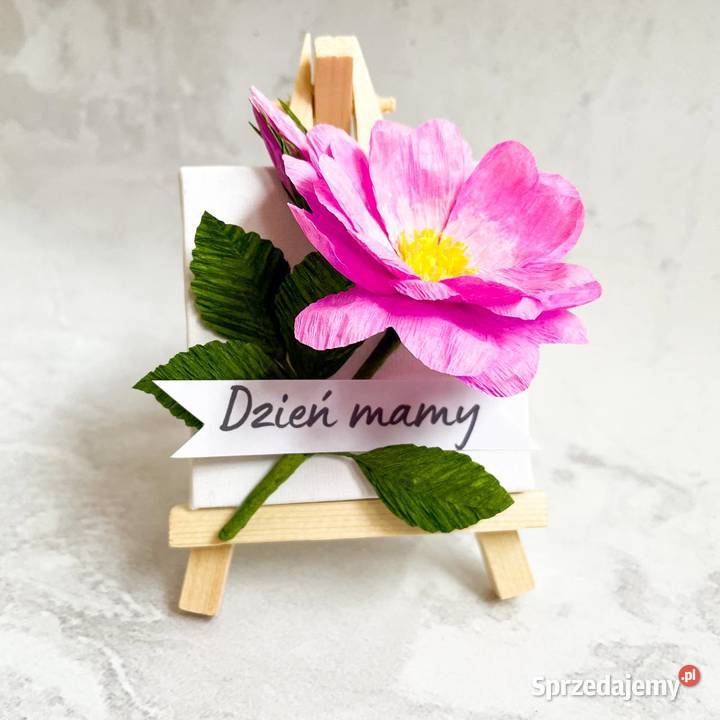 Kwiatek na sztaludze Zielona Góra