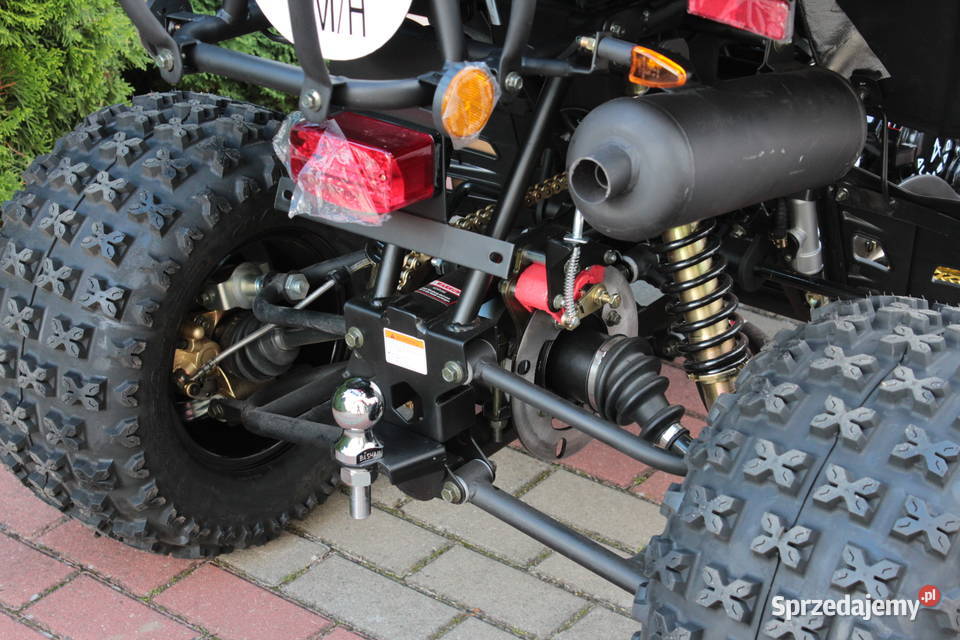 Quad ALFARAD 250 Cobra II HOMOLOGACJA BASHAN Goleniów