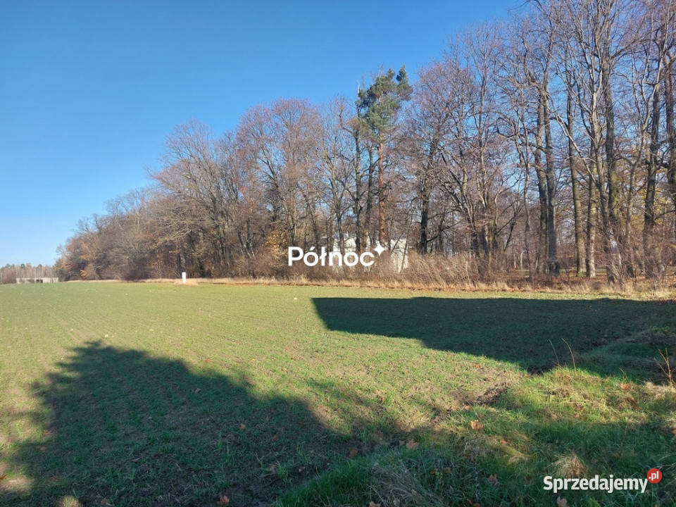 Działki budowlane Styrzyniec k Białej Podlaskiej sprzedam