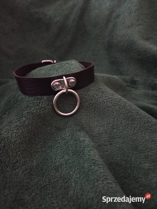 Obroże cholery pieszczochy Punk Rock Metal Lublin