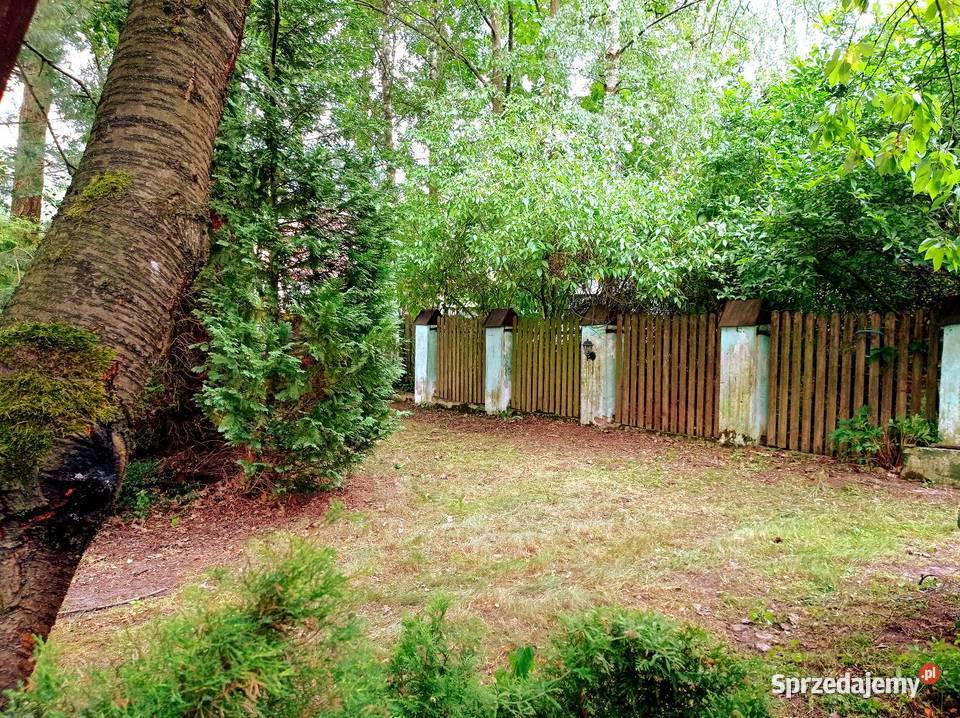 DWA DOMY POD LASEM CAŁOROCZNE OKAZJA 712m2 Chynów