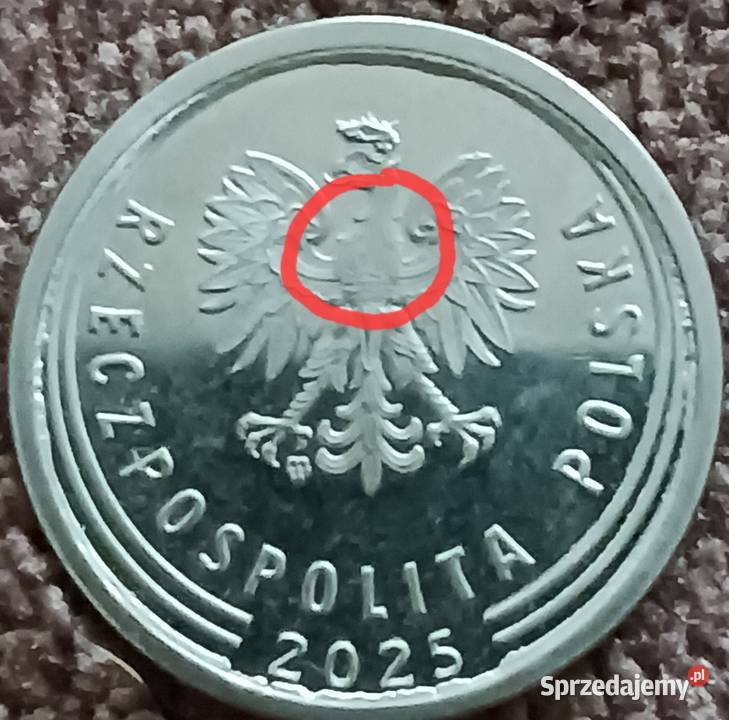 1 Złoty 2025 r Piękny wielodestrukt około Konin