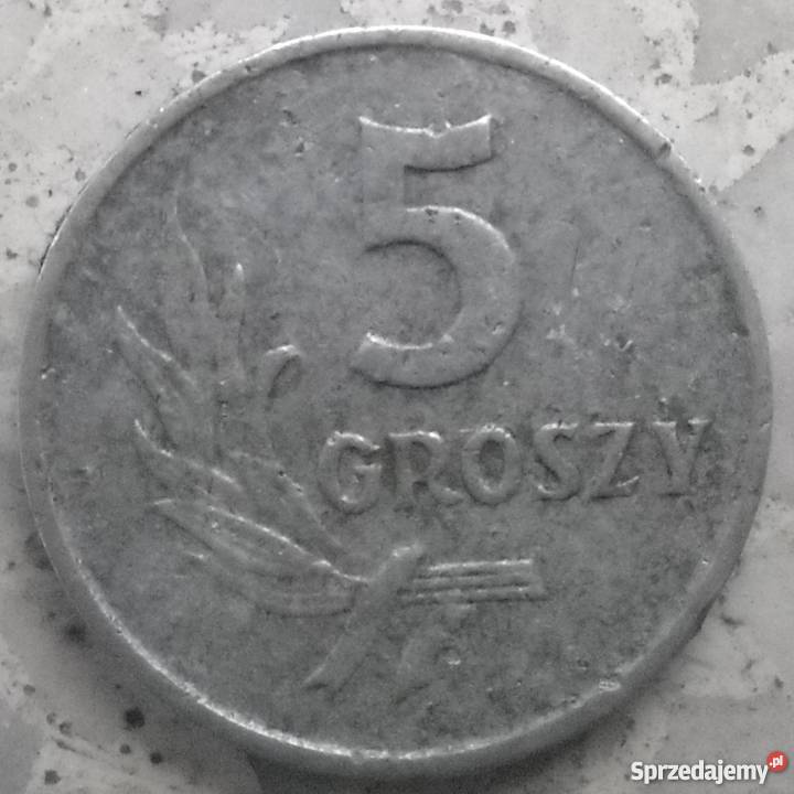 POLSKA5 GROSZY1962 r bzAL Numizmatyka