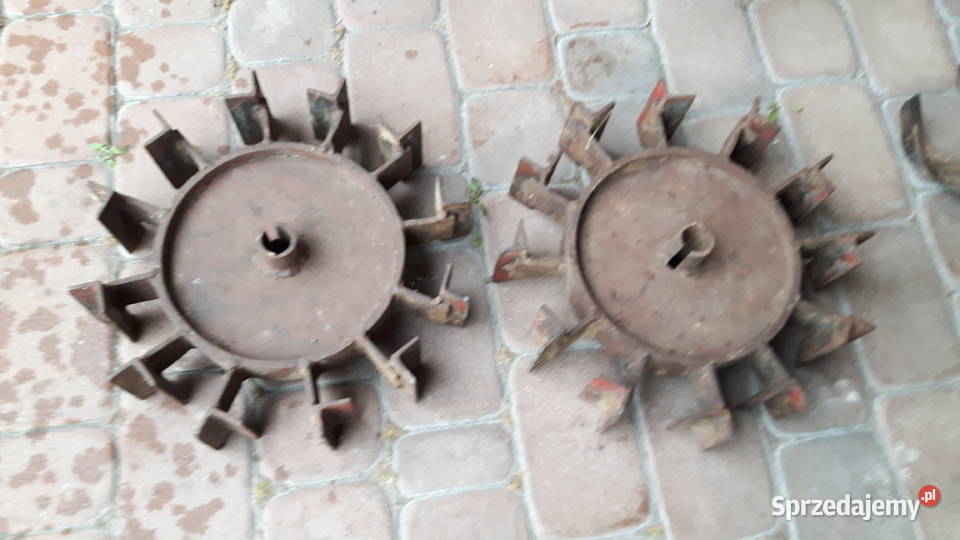 glebogryzarka Fortschritt traktorek dzik ciągnik mazowieckie Garwolin