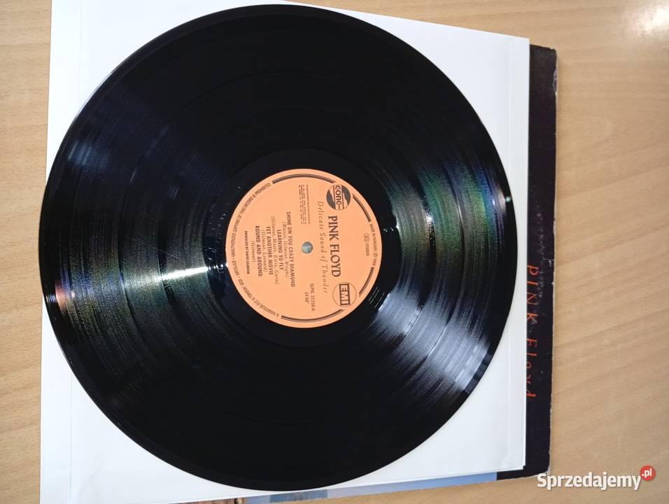 Pink Floyd Delicate Sound Of Thunder Hungary Rumia