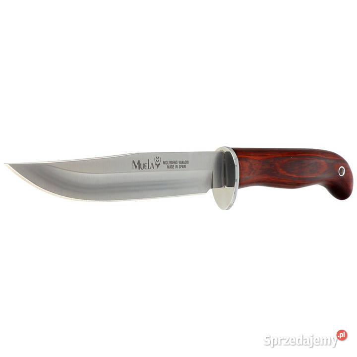 Nóż Muela Gredos Coral Wood Satin X50CrMoV15 Warszawa