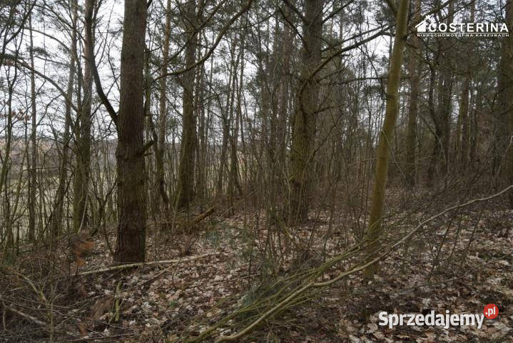 Ogłoszenie grunt Stare Polaszki 5000m2