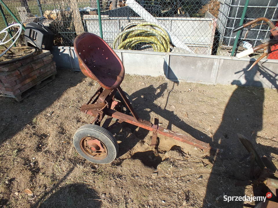 Dzik 221 Sprawny Osprzęt Kurier ŚLĄSK Golasowice