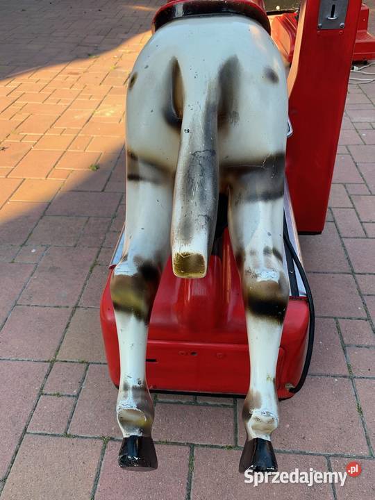 Automat zarobkowy bujak zarobkowy KONIK Zamość