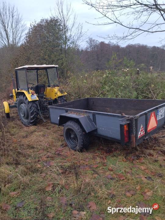 przyczepa jednoosiowa dwukółka solidna TANIO nieuszkodzony Trzcianka sprzedam