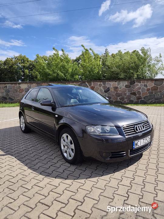 Audi A3 8p 20tdi automat DSG 2004r