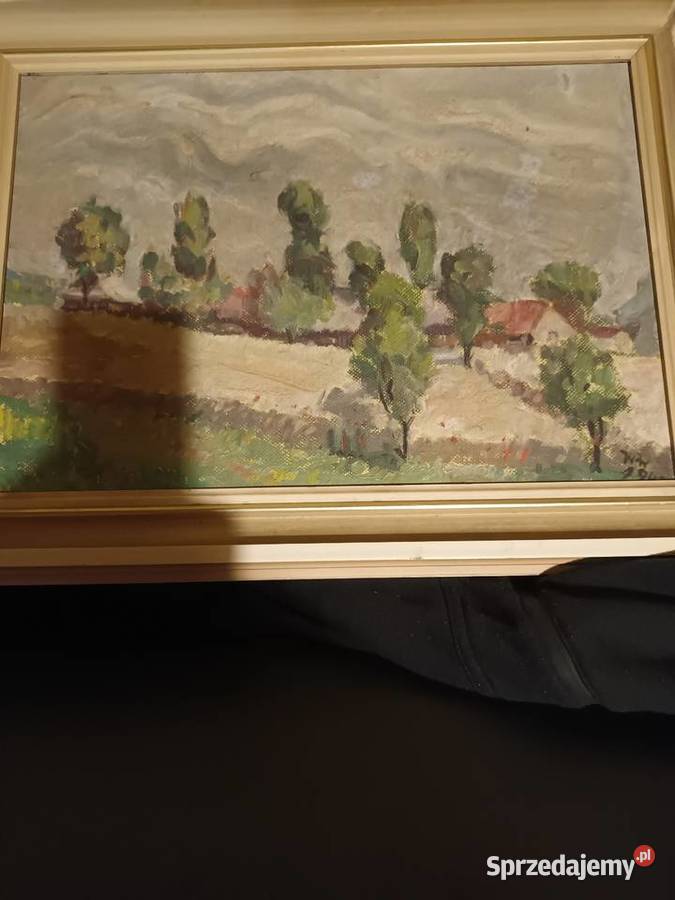 Zabudowy wiejskie wśród drzew w otoczeniu Bielsko-Biała