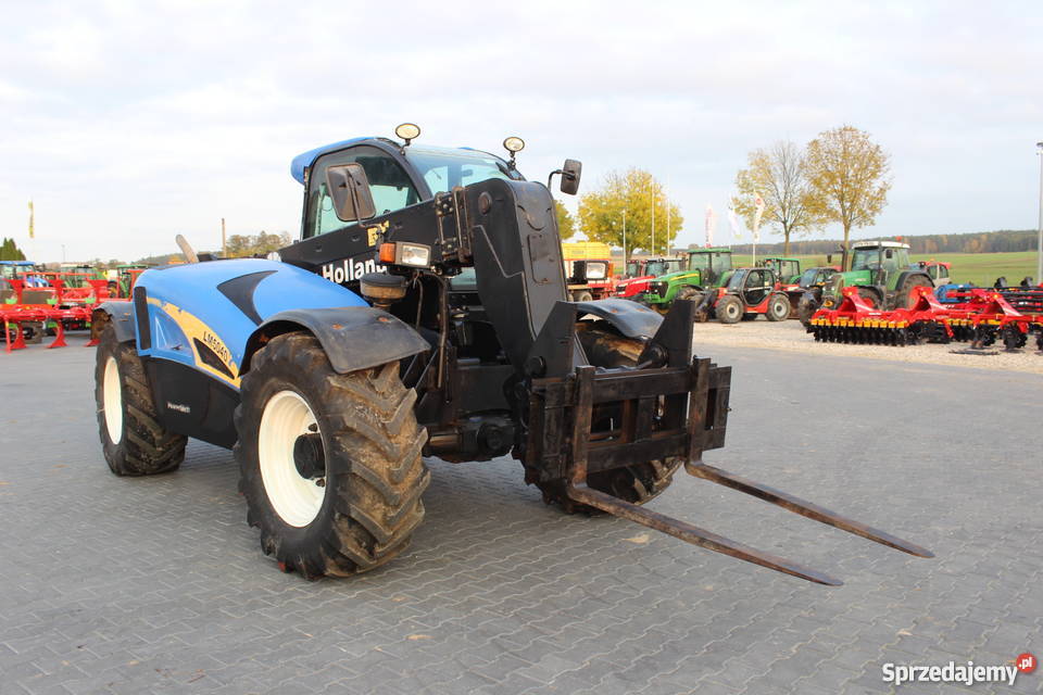 Holland LM 504050305060 Plus Sokoły sprzedam