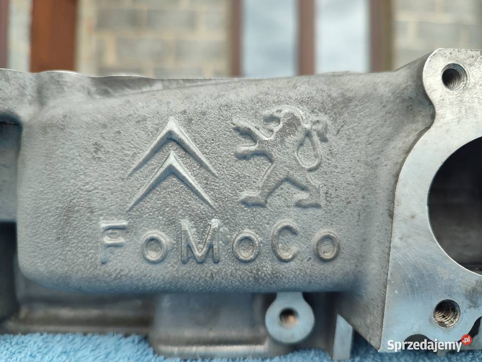 Głowica Citroen Peugeot Ford 16 EHDI TDCI HDI podkarpackie