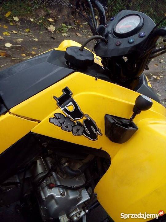 Quad Bombardier CanAm DS 250 Łabuń Wielki