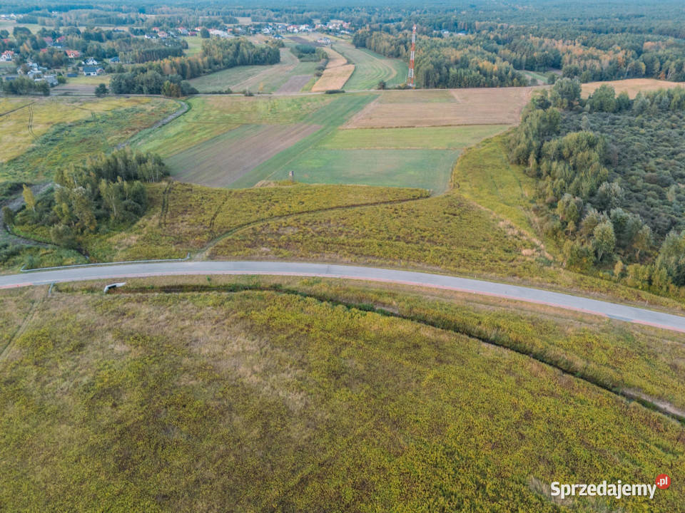 Działka przemysłowa 55 HA Podborze Mielec 63zł/m2