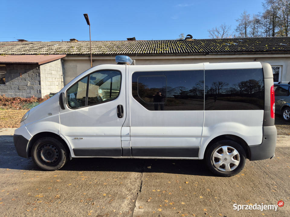 Samochód BUS RENAULT Trafic 20 dCi 115 2011 Pozostałe Grodziec