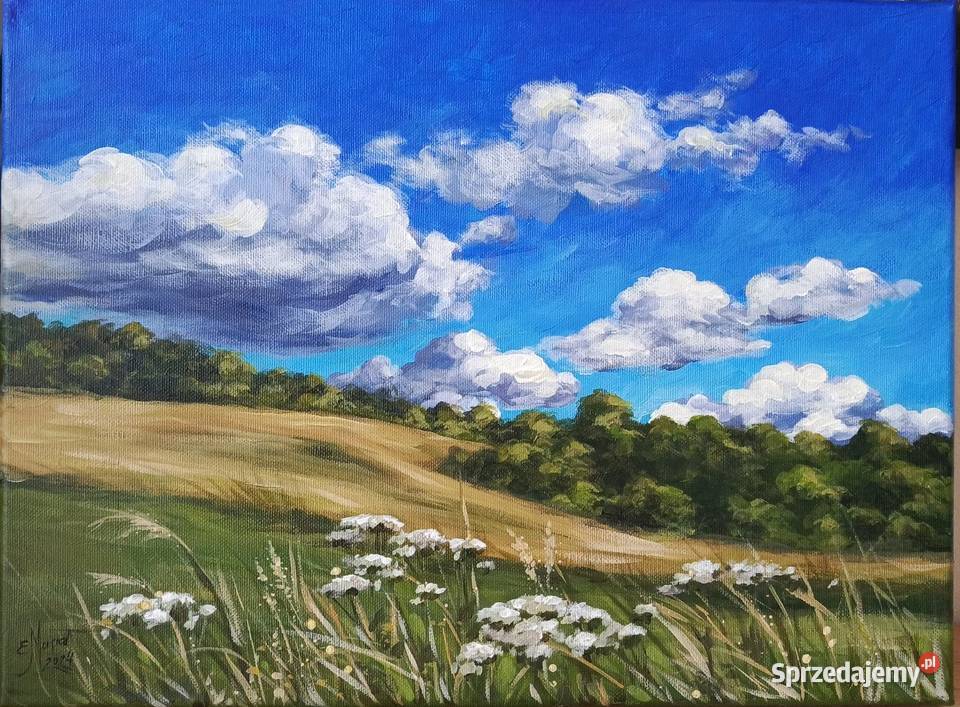 Obraz olejnyKrwawnik łąka kwiaty pejzaż Łęki Strzyżowskie