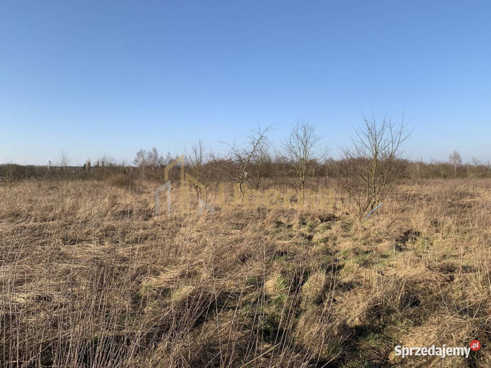 Działki inwestycyjne pod Goleniowem