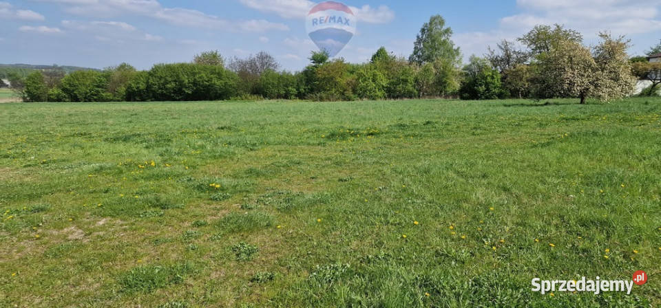 Piękna działka na Jurze KrakowskoCzęstochowskiej Lgota Murowana