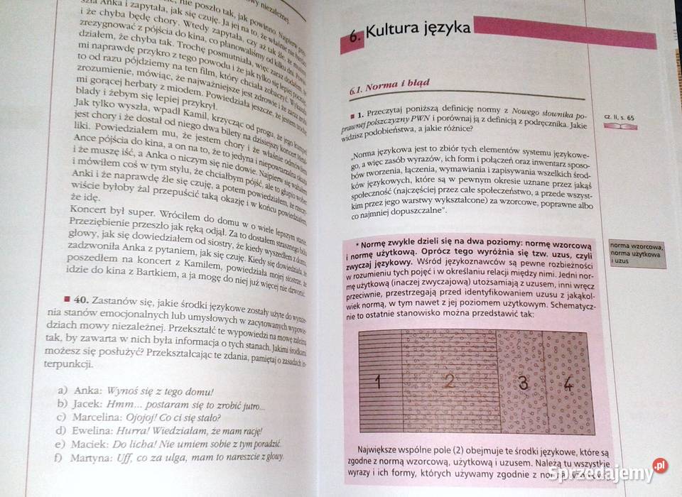 Ćwiczymy swój język 1 Wiadomości i zadania E Chełm sprzedam