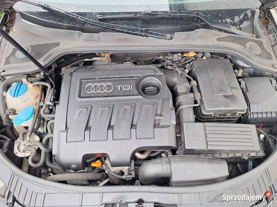 Audi A3 8P 16 tdi 105 2011r isofix Bielawa sprzedam