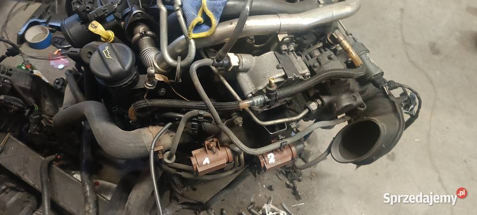 sprzedam silnik 20 TDCi ford mondeo MK4 2010 to osobowe Koło
