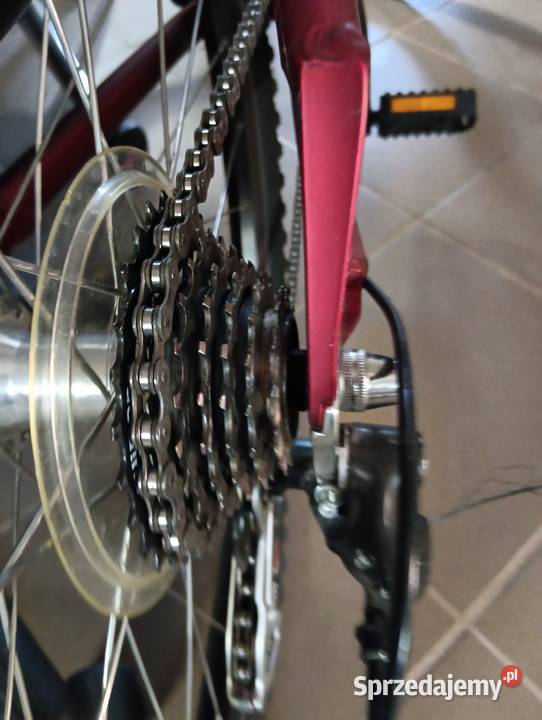 Rower damski męski Kępa