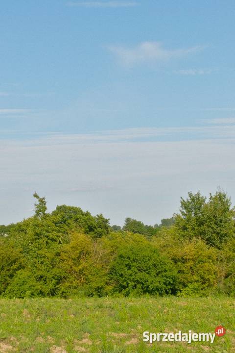 Działka jeziorem z linią brzegową i bezterminową Trąbin-Rumunki