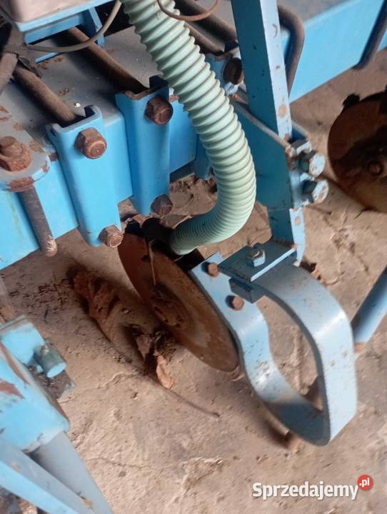 Siewnik Momosem Kalinówka