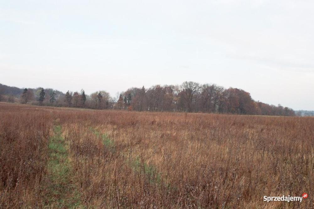 Do Budowlana pod lasem 20 Gdańska Czerniewo