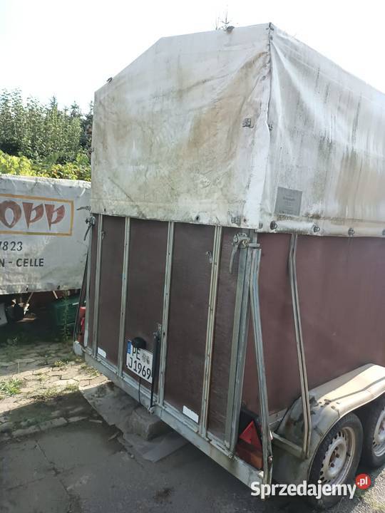 Przyczepa do przewozu koni Przyczepa do koni Przasnysz