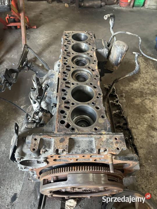 holland silnik Model F4DE9687 model type 667TA Jastrzębniki