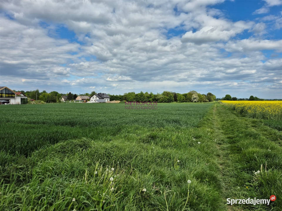 Grunt Gliwice 3125m2 Sprzedaż śląskie