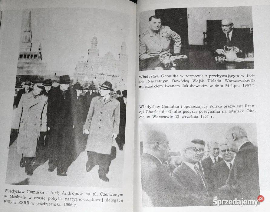 Polityczne dylematy Gomułki B Syzdek E Syzdek Chełm
