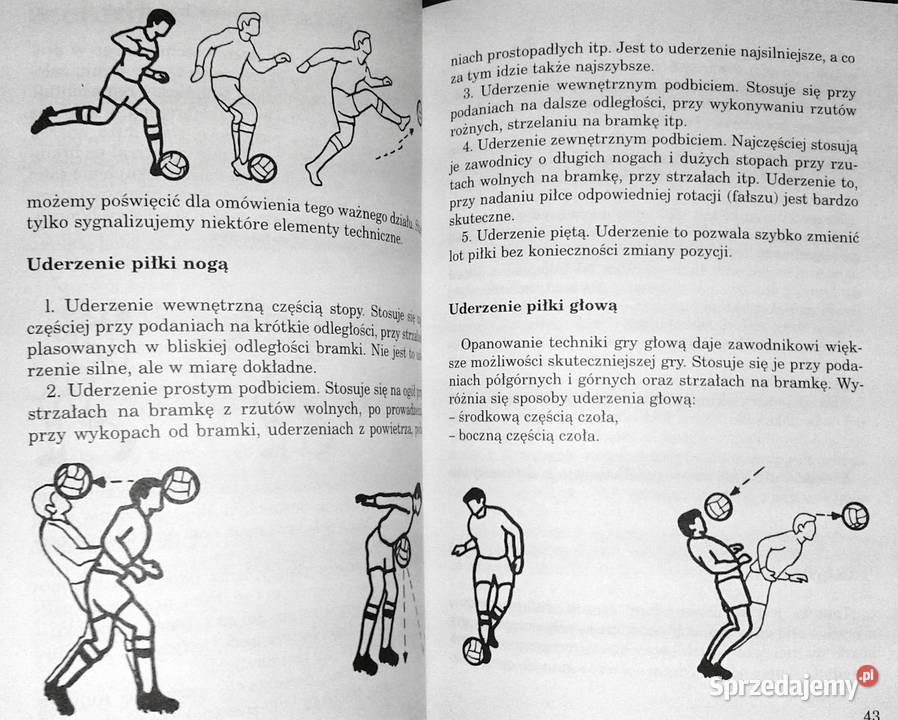 Gry zespołowe najmłodszych Przepisy technika Chełm