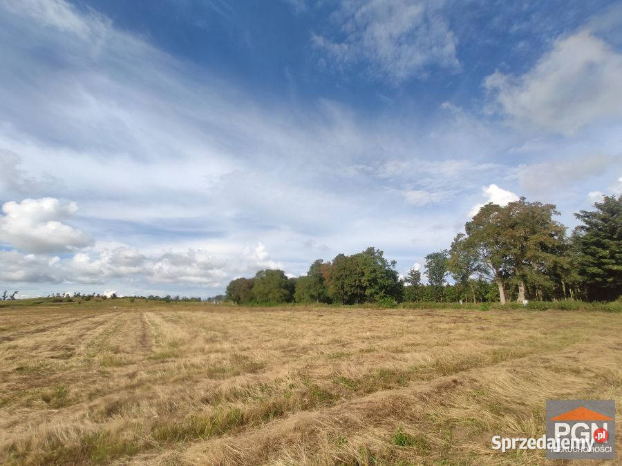 Sprzedam grunt Buniewice 1000m2 zachodniopomorskie