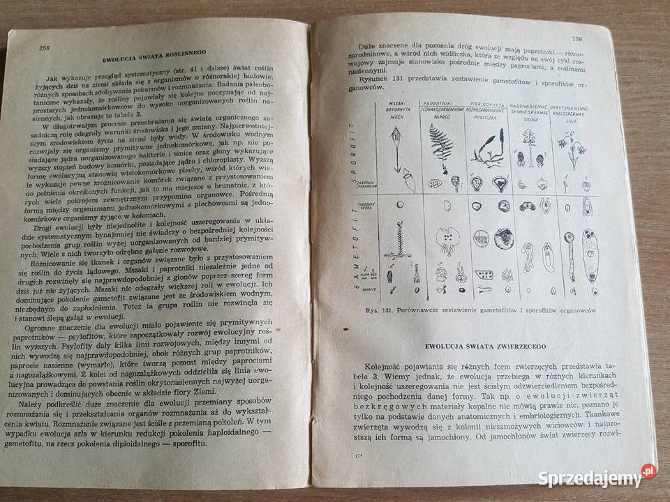 REPETYTORIUM z biologii Hausbrandt skrypt Książki naukowe i popularnonaukowe Złotniki sprzedam