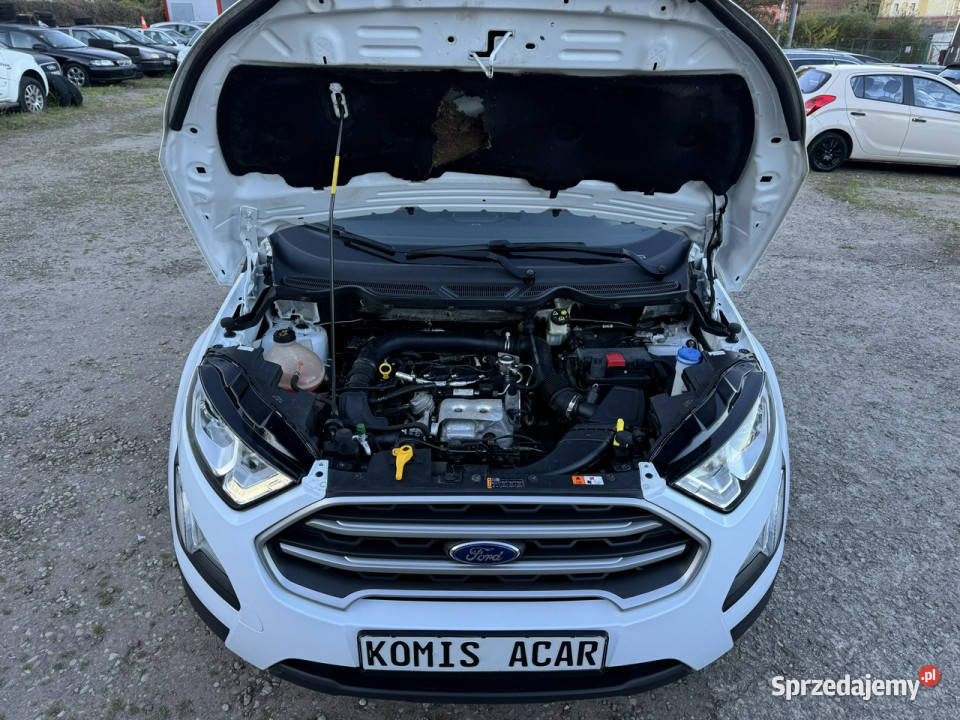 Ford EcoSport SUV Szczecin