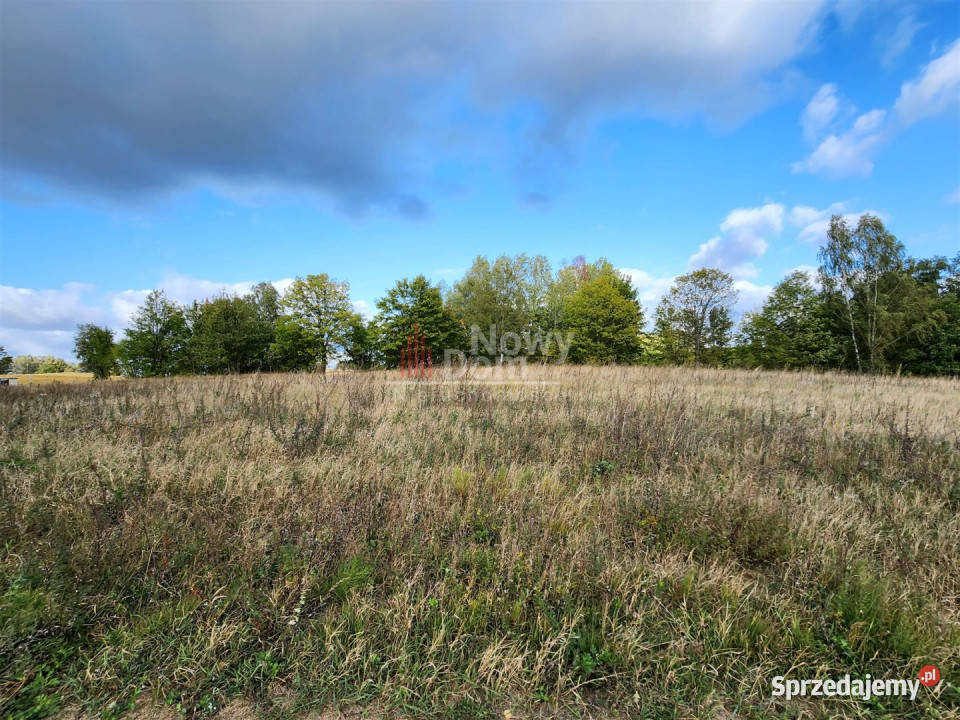 Sprzedaż gruntu 3001m2 Rydzewo 59zł/m2 warmińsko-mazurskie