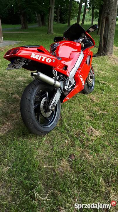 Cagiva mito 125 evo 7 7 Biegów nie rs nsr yzfr Gorzędów sprzedam