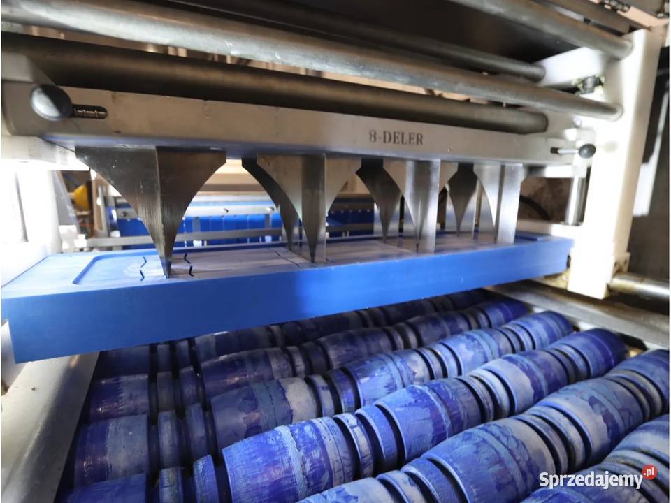 Dofra Foodtech 20054743 01 Segmentator Krotoszyn