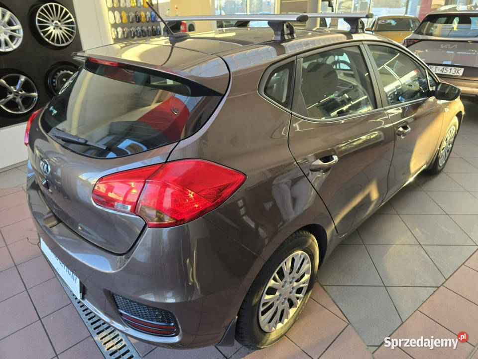 Kia Ceed Krajowy Benzyna Pierwszy właściciel immobilizer Tarnów