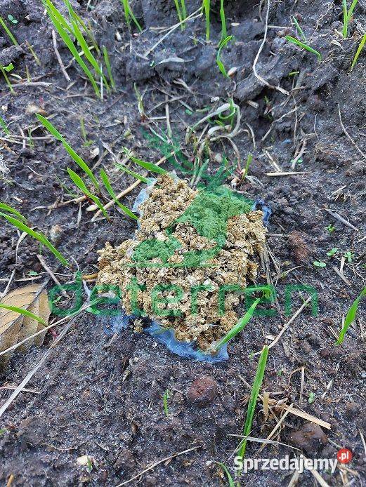 FETOREX preparat na dziki sarny jelenie 50 Rawa Mazowiecka