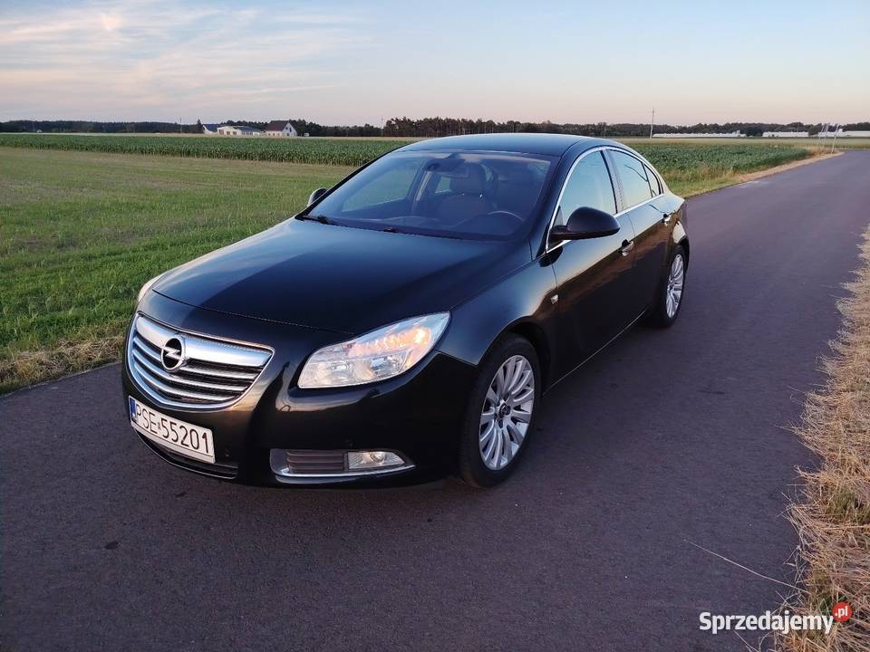 Opel Insignia 20 130 2010 Charłub