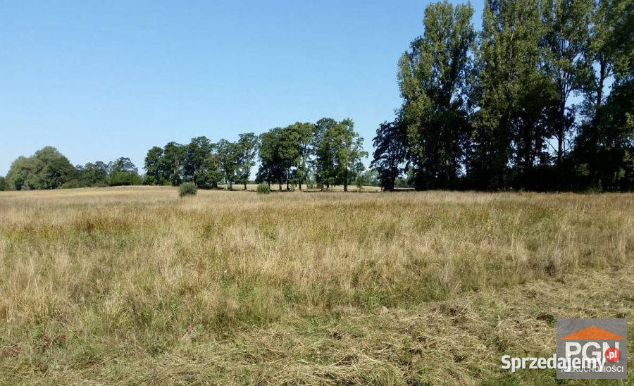 Działka 38300m2 Świerzno Sprzedaż sprzedam