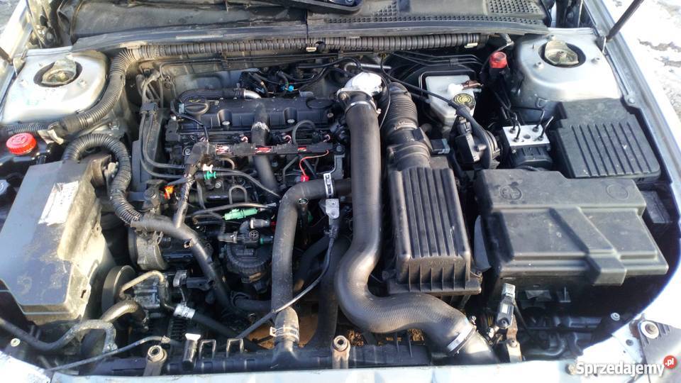 Sprzedam zamienię Peugeota 406 20 hdi 2001r garażowany lubelskie Wojsławice